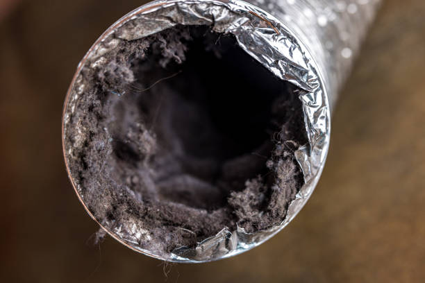 Best Home Air Vent Cleaning  in Oak Hills, CA